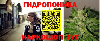 соль ск Партизанск