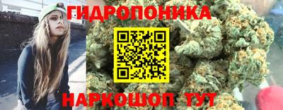 соль ск Партизанск