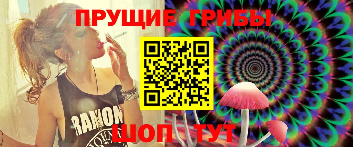 Рассказово  Псилоцибиновые грибы MAGIC MUSHROOMS  купить наркоту  Галлюциногенные грибы Cubensis  Вход с VPN 